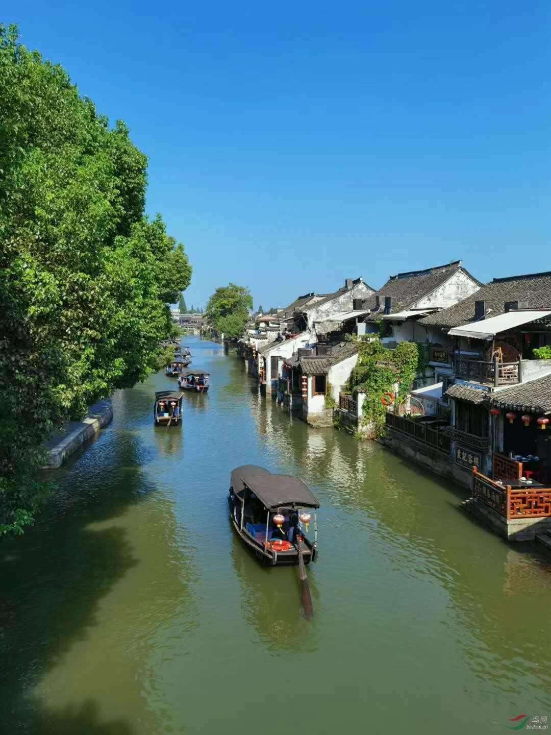 夏季热带海滩逃生